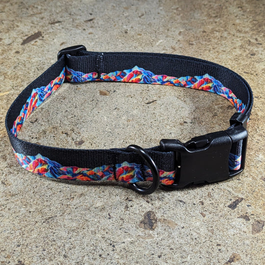 Sacagawea Dog Collar